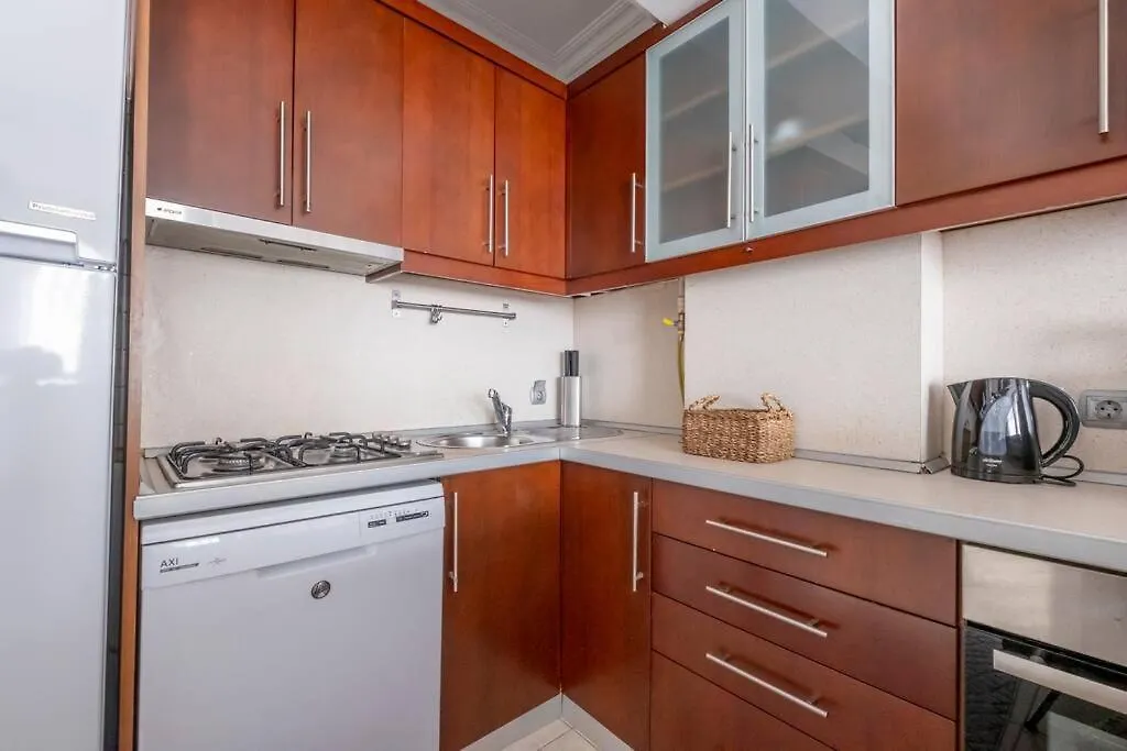Bosphorus View W Private Terrace Apartment Istanbul