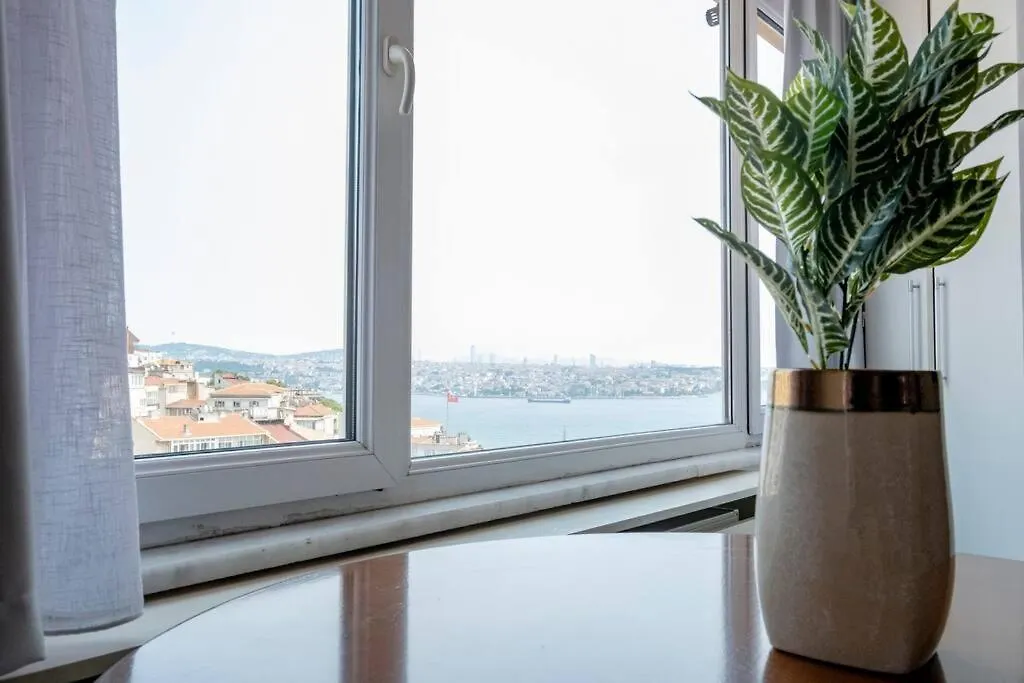 Bosphorus View W Private Terrace Apartment Istanbul Turkey